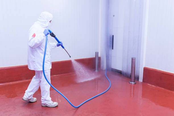 Boat and Dock Cleaning in Gustine, CA